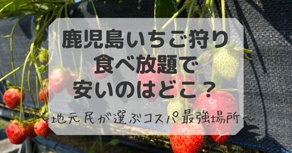 鹿児島 いちご狩り 食べ放題 安い